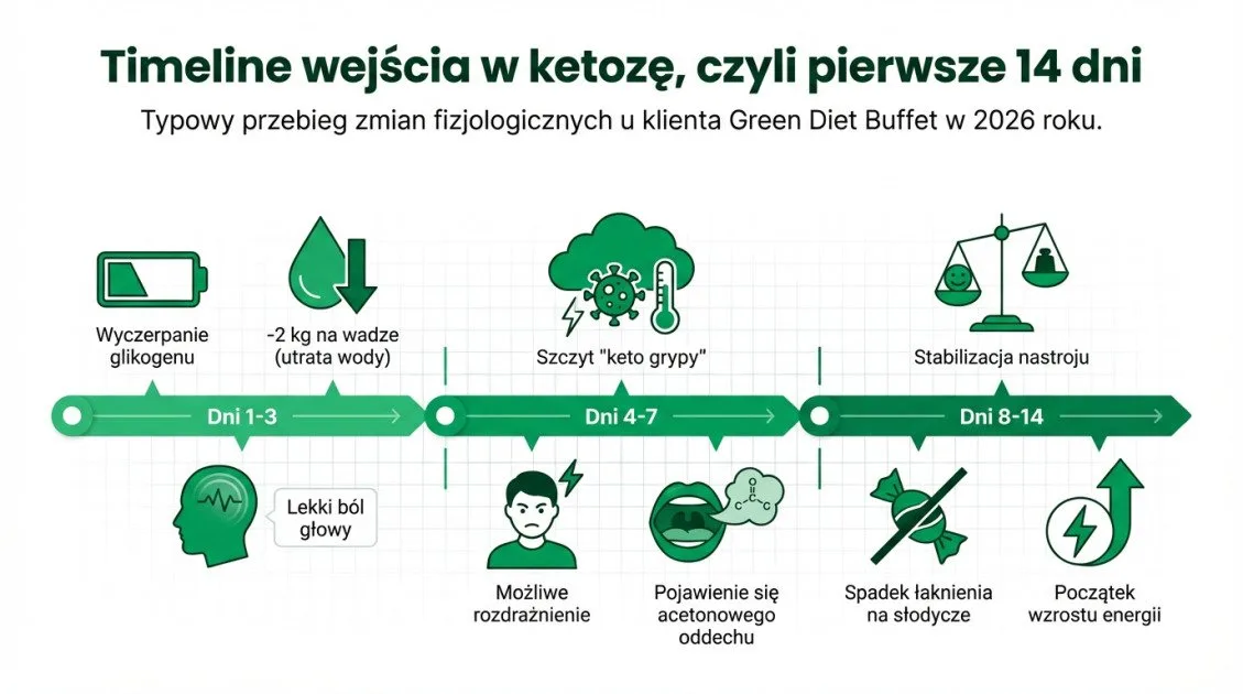 Timeline wejścia w ketozę, czyli pierwsze 14 dni